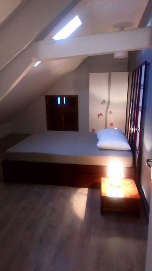 Maison Duplex & Appartement Sur Cour ラ・フェルテ・ゴシェ エクステリア 写真